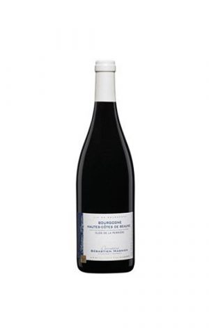 Bourgogne Hautes Côtes de Beaune vieilles vignes Sébastien Magnien 2017 (réassort)